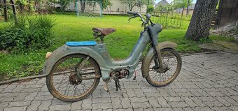 Predam Jawetta 551 - 3
