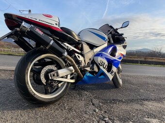Suzuki TL1000R - 3