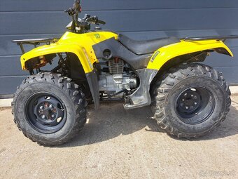 Honda  Four Trax Recon 250 - 3