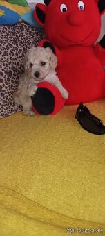 Pudel pudlík pudl - 3