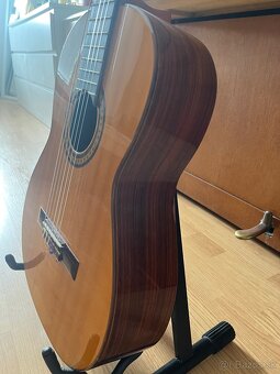 Esteve 6PS koncertná gitara - 3