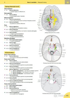 MEMORIX ANATOMIE (5. vyd., PDF) - 3