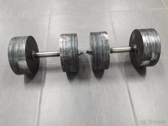 Jednorucky cinky 2x30 kg - 3