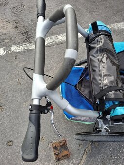 Thule chariot cx1 1 - 3