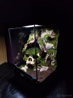 Terarium Exo terra - 3