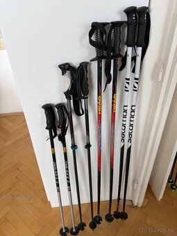 Lyziarske palice - 3