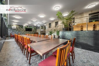 VILLA ALPINA - DRIENICA, 555 M2 - KOMPLETNÁ REKONŠTRUKCIA - 3