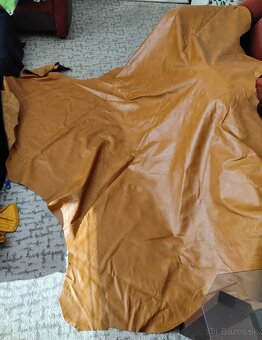 Čalunicka koža - 3