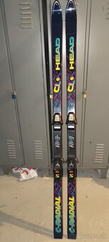 Lyžiarky DALBELLO - 3