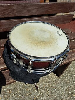 Snare Pdp By Dw Concept Maple 14x5.5 - 3