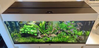 Juwel Rio akvárium 180L - 3