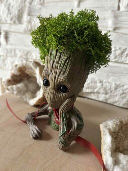 Groot so stabilizovaným machom - 3