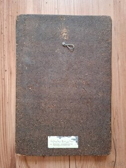 Predam obraz Pierre Bonnard - Mandľovník v kvete - 3