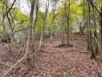 NA PREDAJ LES V KATASTRI BECKOV - 4316 M2 PRÍRODY,... - 3