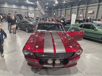 ELEANOR Mustang Shelby GT500 - 3