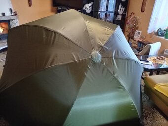 Brolly Prollogic - 3