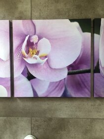 Trojobraz orchidea 39 x 117cm - 3