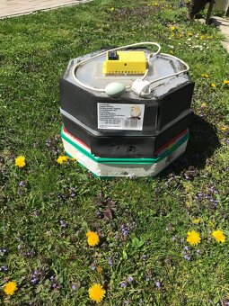 Ponúkam Liaheň - 3