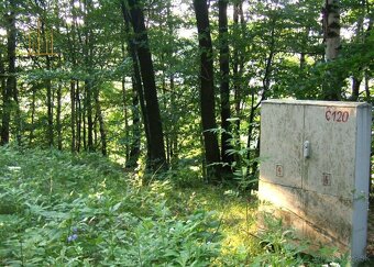 Rekreačný pozemok na chatku, 475 m² - Domaša Valkov - 3