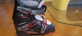 Lyže a lyžiarky - 3