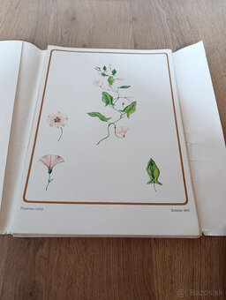 Staré školské pomôcky - 3