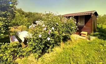 NA PREDAJ záhrada, Dolné Krškany - 3