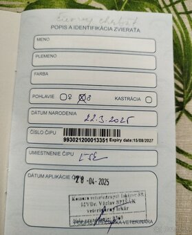 Predám Bigla - 3