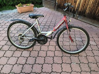 Bicykle - 3