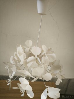 Luster biely kvietok - 3