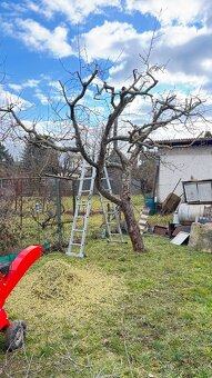 Záhradnícke práce, úpravy a rekonštrukcie záhrad - Košice - 3