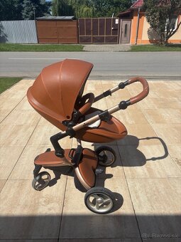 Kocik Mima Xari - 3