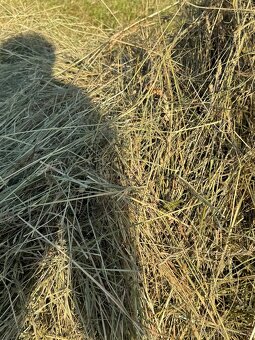 Balíkované seno - 3