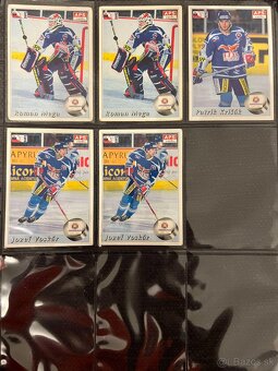 APS karty hokej 95/96 - 3