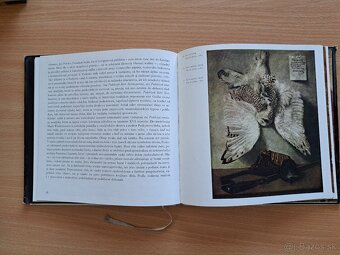 Vojtěch Volavka: Karel Purkyně - 3