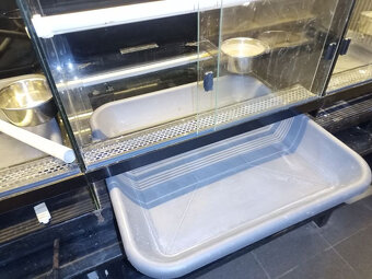Terarium - 3