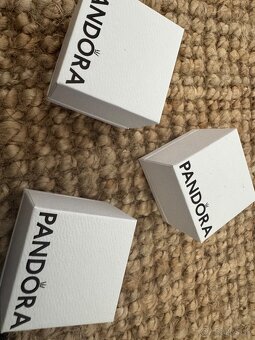 Pandora krabicky a tasky - 3