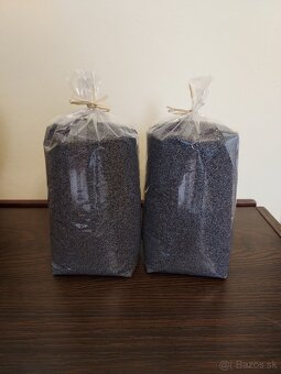 VLAŠSKÉ ORECHY TOHTOROČNÉ 11€ KG - 3