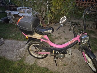 Predam manet korado - 3