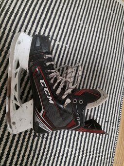 Korčule ccm FT1 - 3