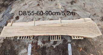 Dubové rezivo XXL - 3