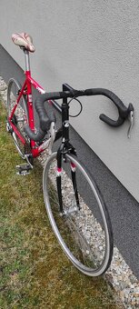 Dema Vittaro - Cestný bicykel (Racing Collection) - 3