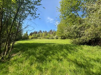 Pozemok vhodný na relax a záhradkárčenie Čadca- Rieka - 3