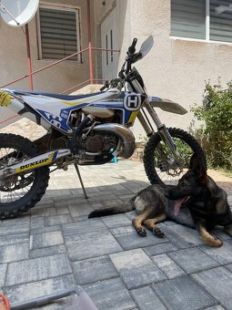 Husqvarna te 300 tpi - 3