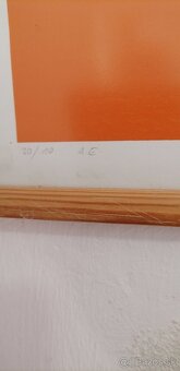 Predam obraz Hedviga Hamžíková. - 3