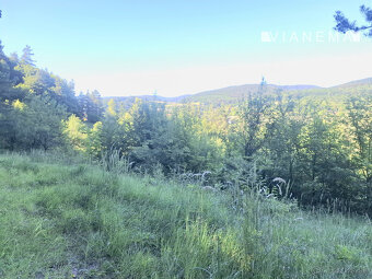 IBA U NÁS Pozemok 1,8 ha na okraji Púchova, Vieska-Bezdedov - 3