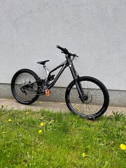 Kellys noid 70 - 3