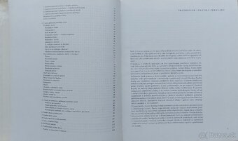 Človek farba priestor - Heinrich Frieling , Xaver Auer - 3