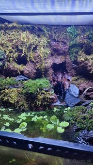 Predám Paludarium - 3