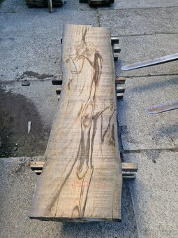 Dub bahenny, mooreiche, dub subfosilny - 3