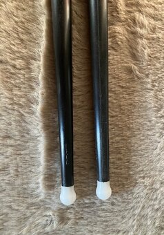 Palicky Ahead 5B LTD limited - 3